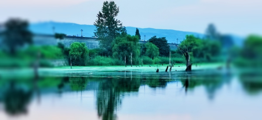 游沈園