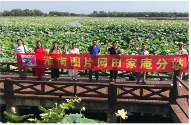 7月2號《淮南圖片網》焦崗湖吟荷詩會