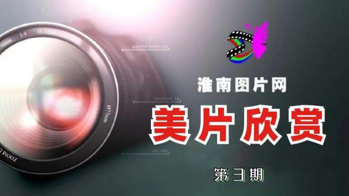 美片欣賞