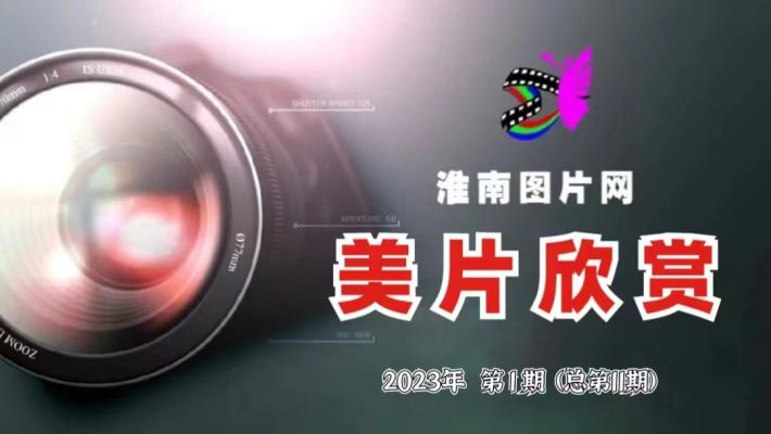 美片欣賞