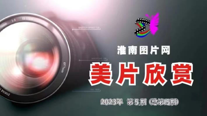 美篇欣賞《秋》