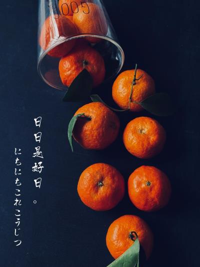 攝影之小橘子