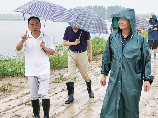 壽縣雙廟集鎮鎮領導冒雨深入抗洪搶險救災第一線