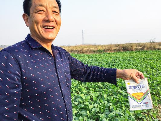 農村田間地頭掠影——壽縣‖萬前進