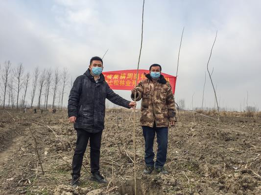 壽縣雙廟集鎮：周崗現灣村民組《崔世松林業開發合作社》成立
