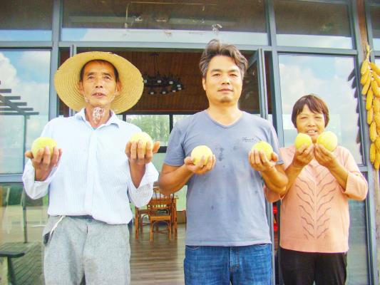 壽縣雙廟集鎮(zhèn) 科技賦能 為冬桃穩(wěn)產(chǎn)增產(chǎn)上“雙保險”