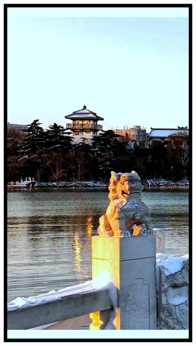 雪后的龍湖公園