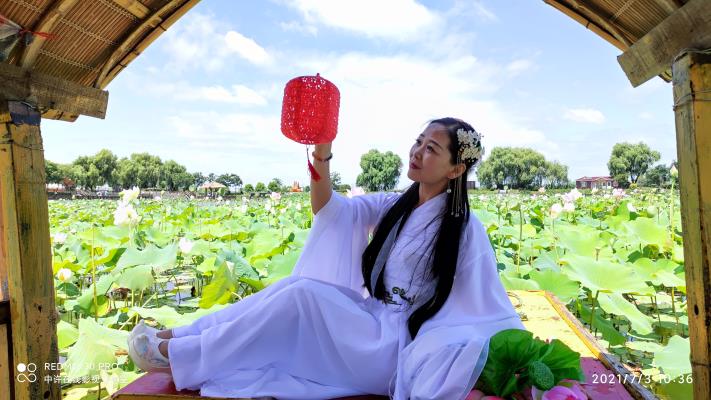 鳳臺芳華藝術(shù)團焦崗湖荷花淀麗人行
