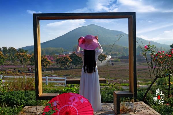 紅燕旅游@粉黛佳人