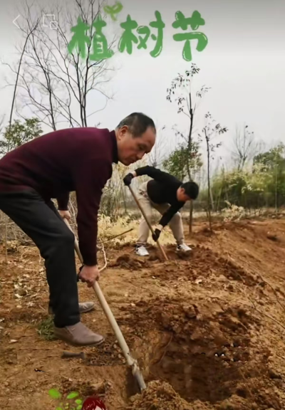 退休不褪色，余熱映初心——記淮南市離退休干部王成文的綠色情懷