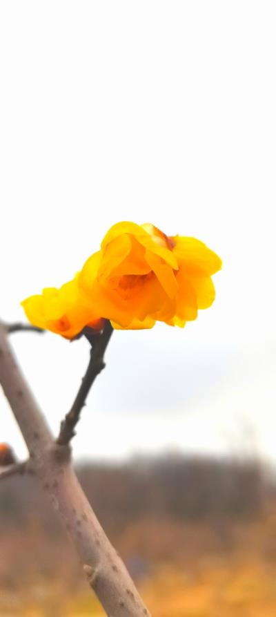 27號舜耕山隨拍