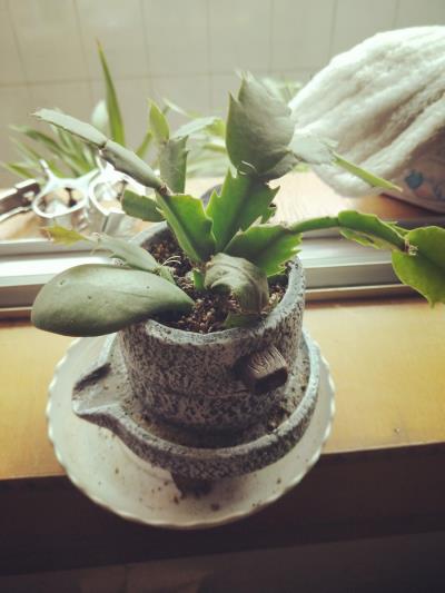 生活的色彩