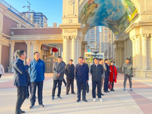 淮南市關工委主任王玉成一行 到安徽科訥公司調研