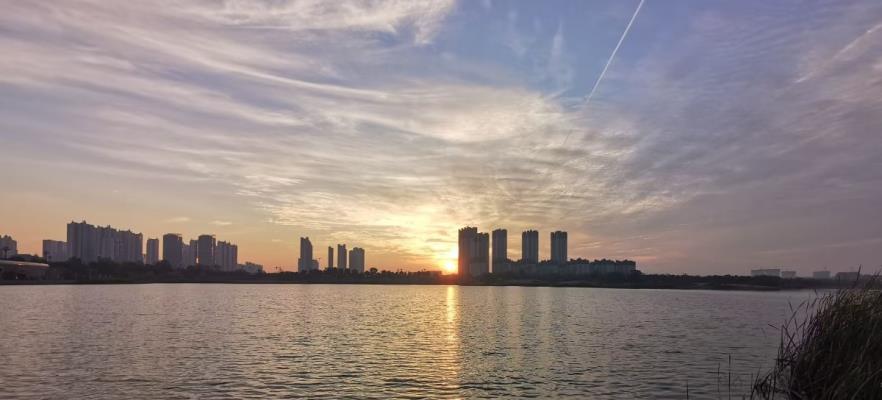中央公園