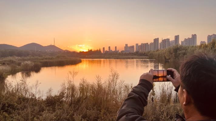 夕陽下大通濕地