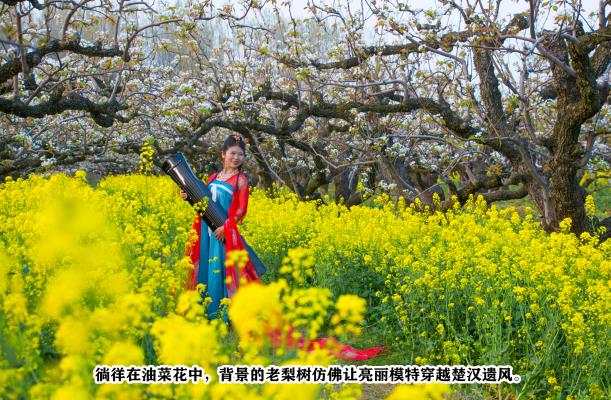 老梨園新春色