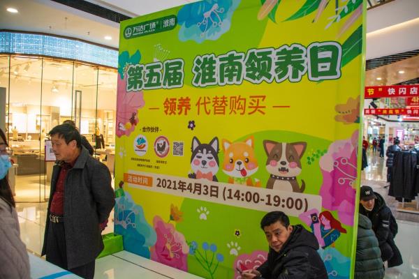愛犬你就來――第五屆淮南領(lǐng)養(yǎng)日