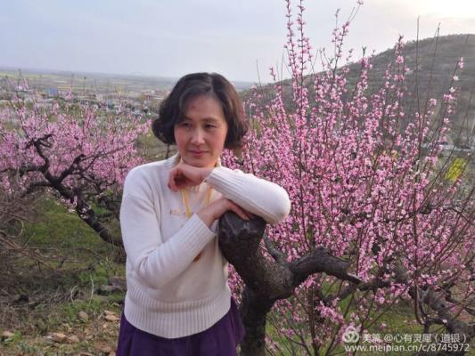 十里桃花不如你