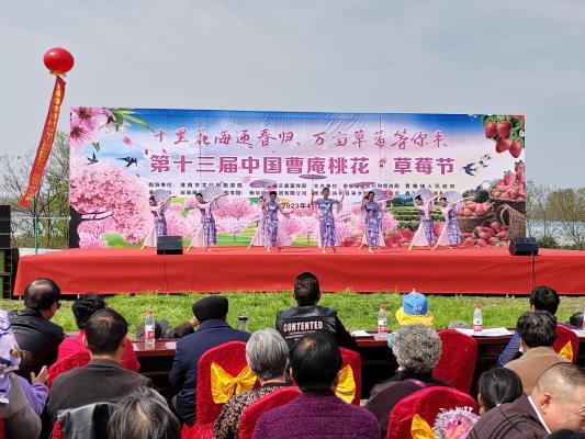 第十三屆中國(guó)曹庵桃花?草莓節(jié)如期舉行