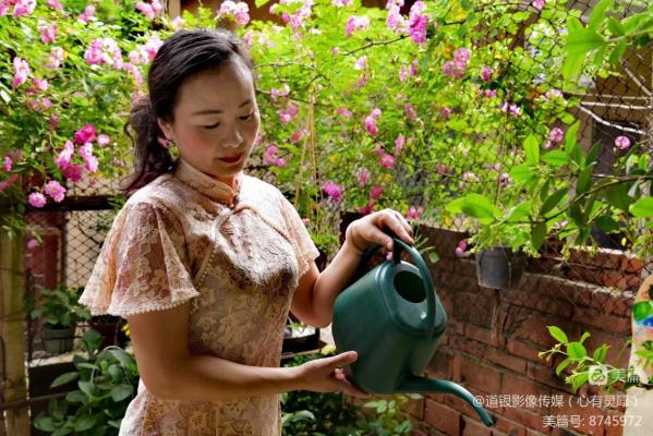 薔薇花開 滿園春色