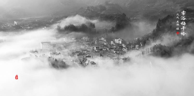 霧浴梅干嶺