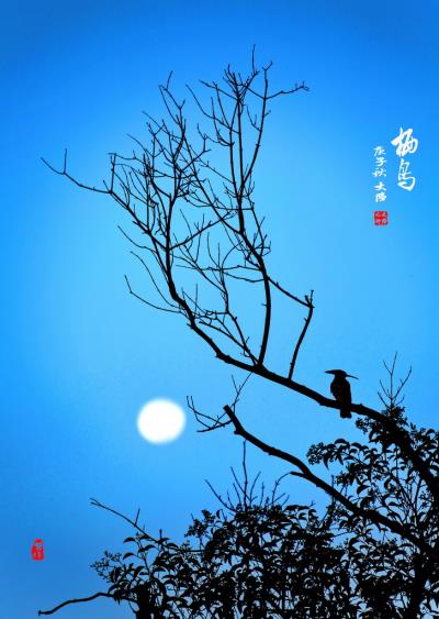 棲鳥