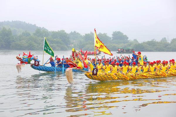 古鎮(zhèn)劃龍祭端午