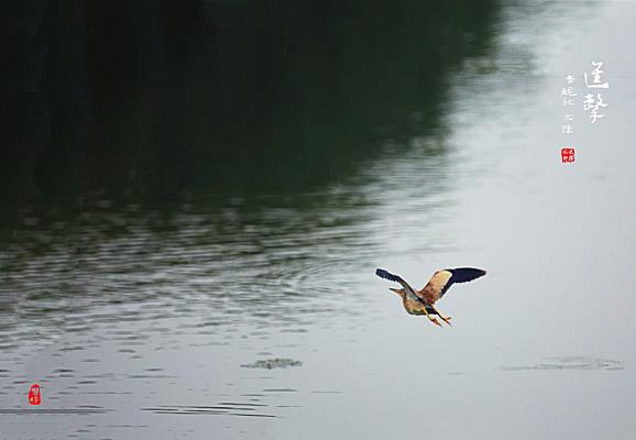 進擊