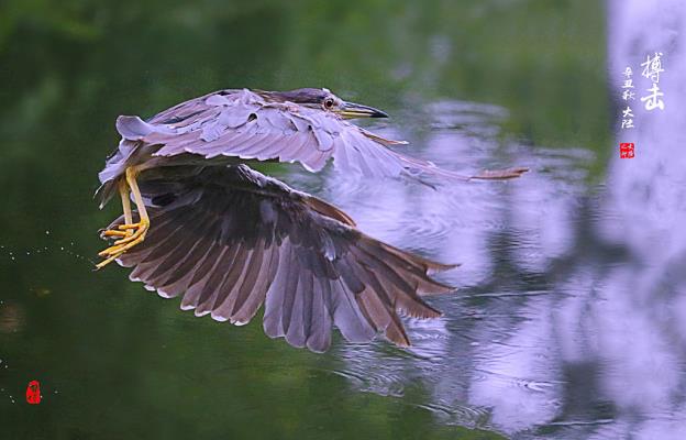 搏擊