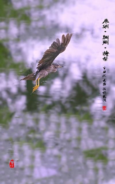 展翅·翱翔·搏擊