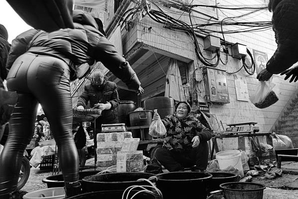 老街魚(yú)市