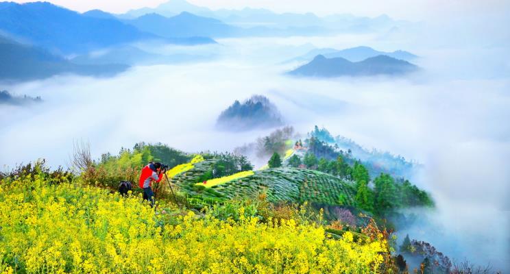 云海擷春