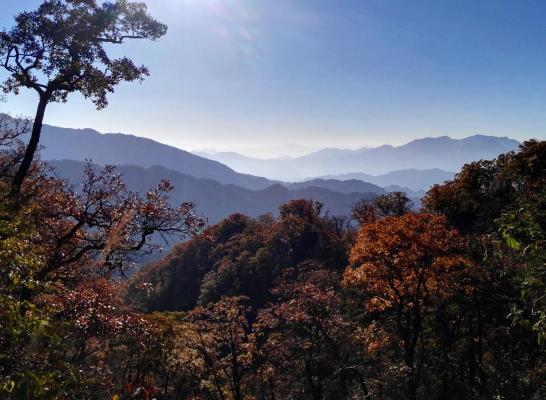 幾幅馬鬃嶺風(fēng)景照
