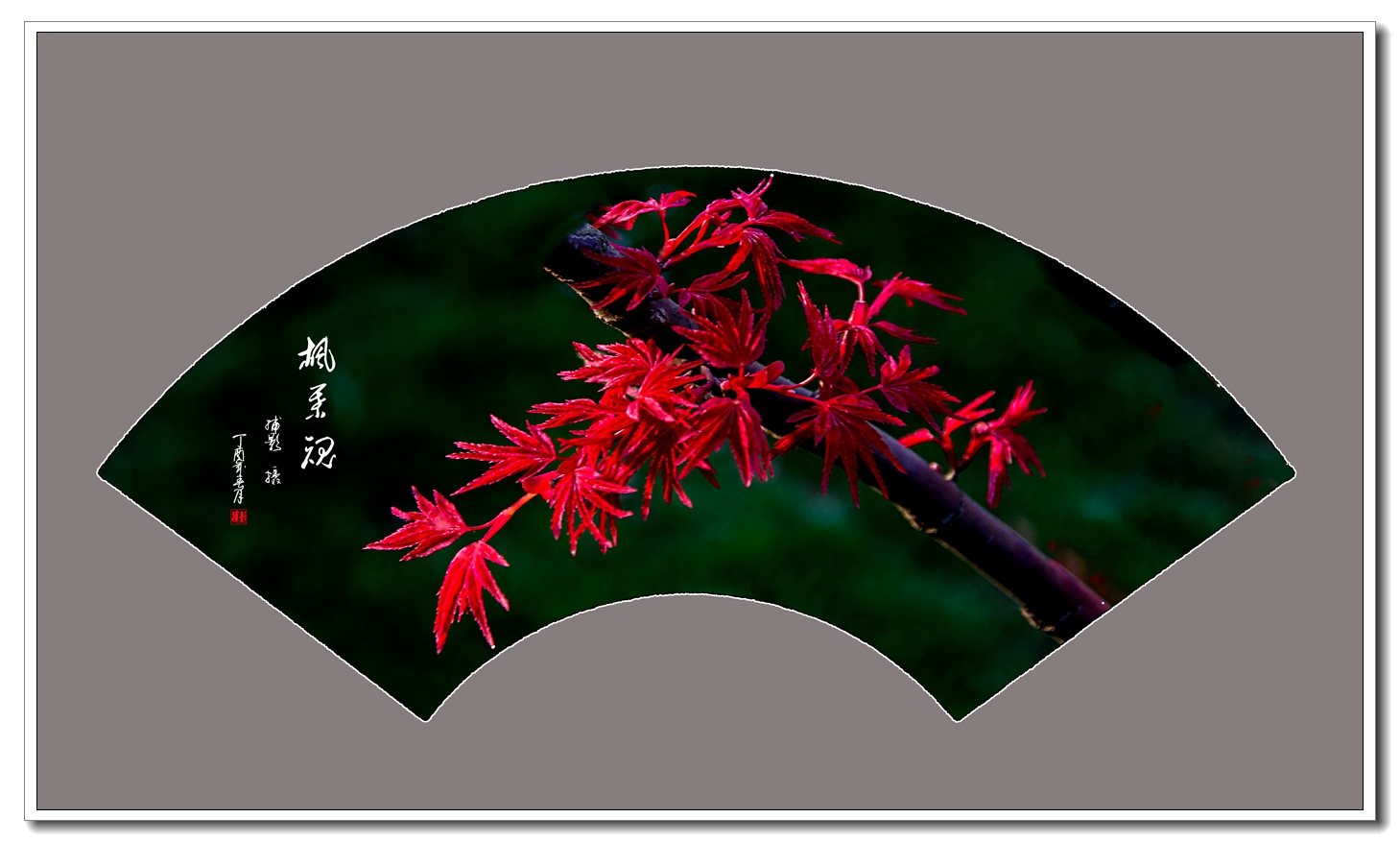 楓葉魂.jpg