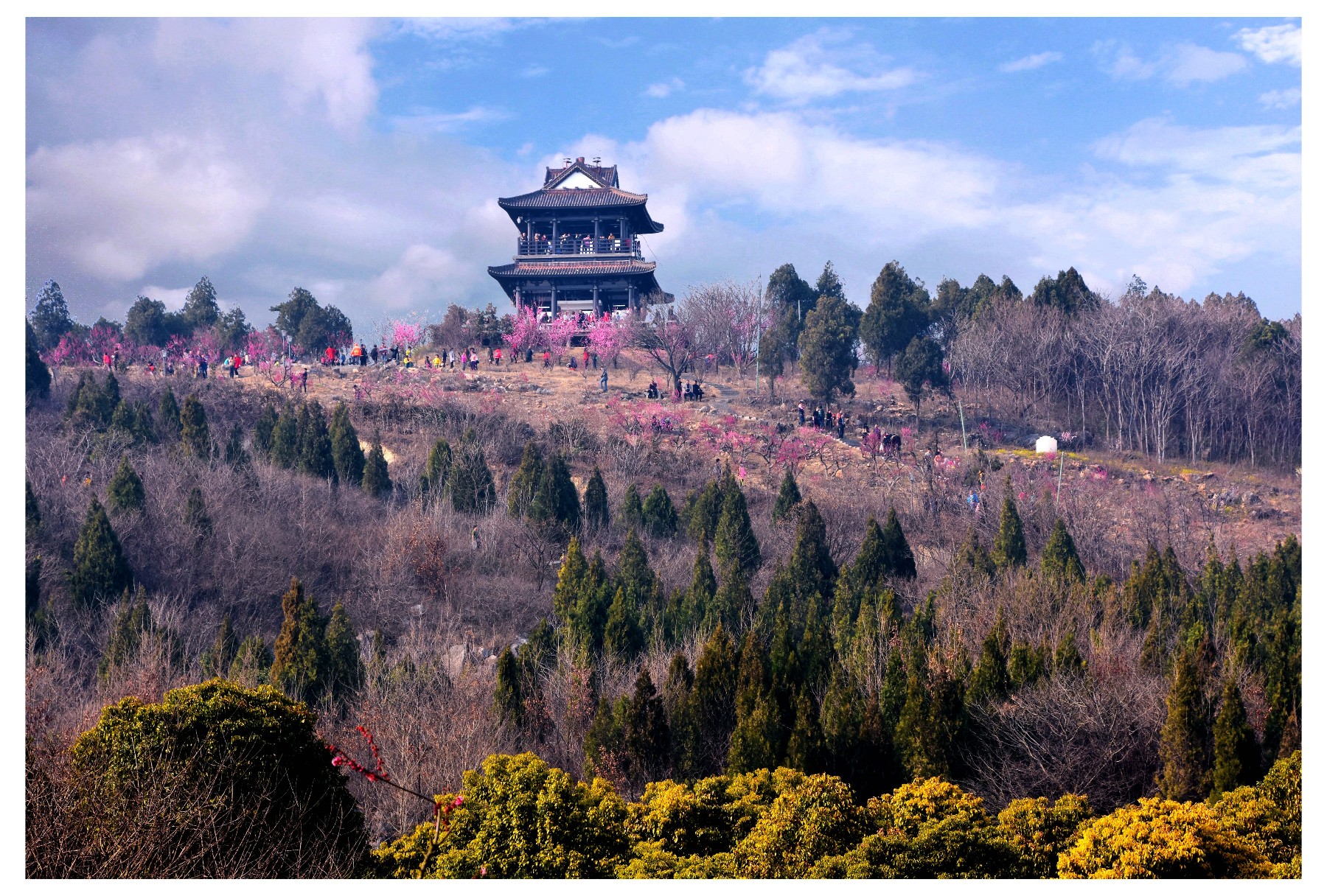 DSC_1355_副本.jpg