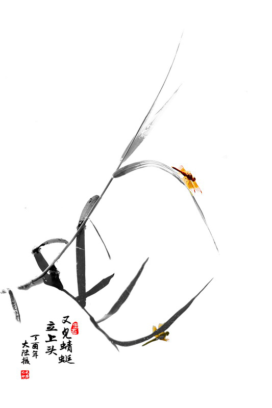 01A17A6855 - 副本_調(diào)整大小.JPG