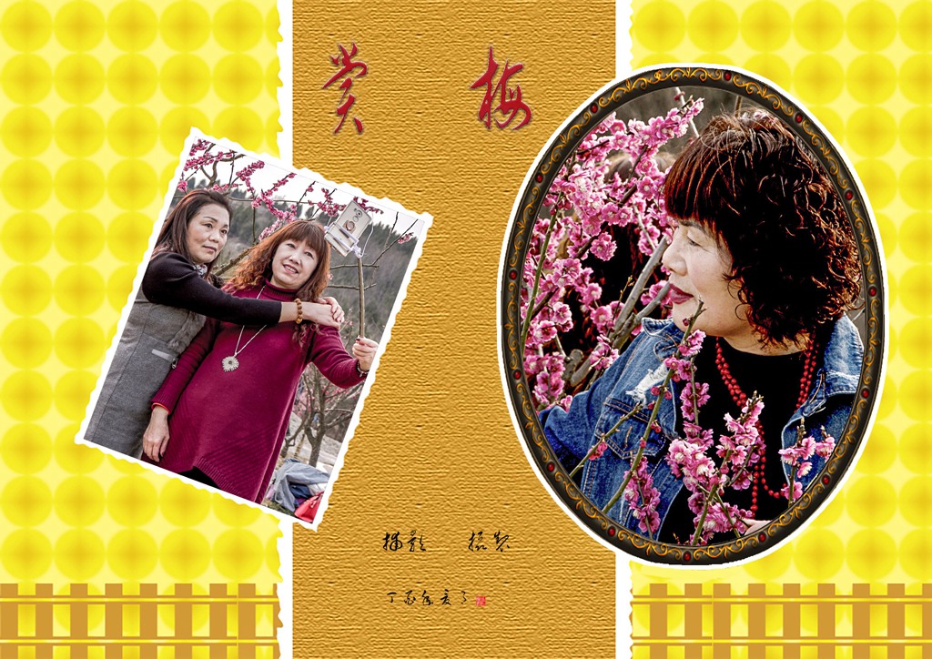 賞梅.jpg