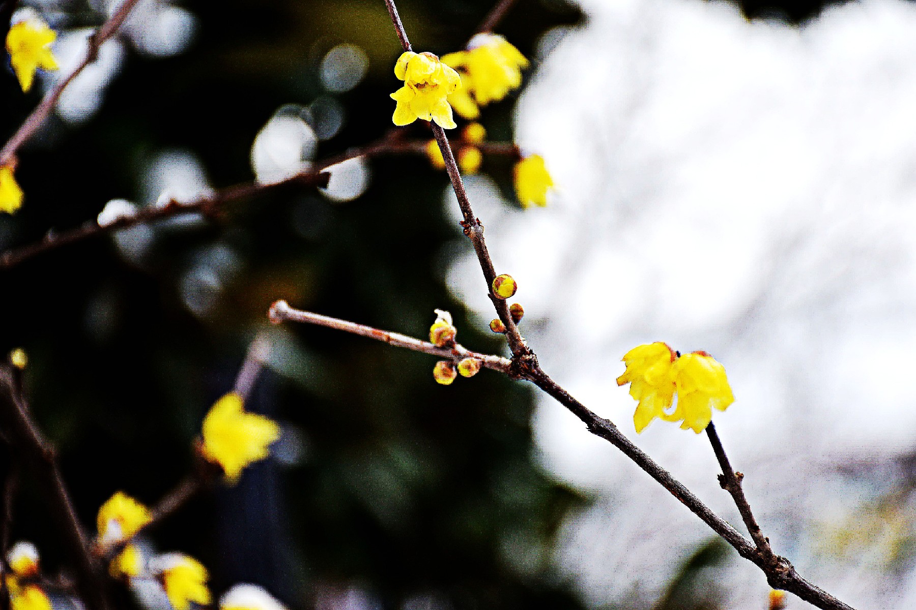 DSC_0166_副本副本_副本_副本.jpg