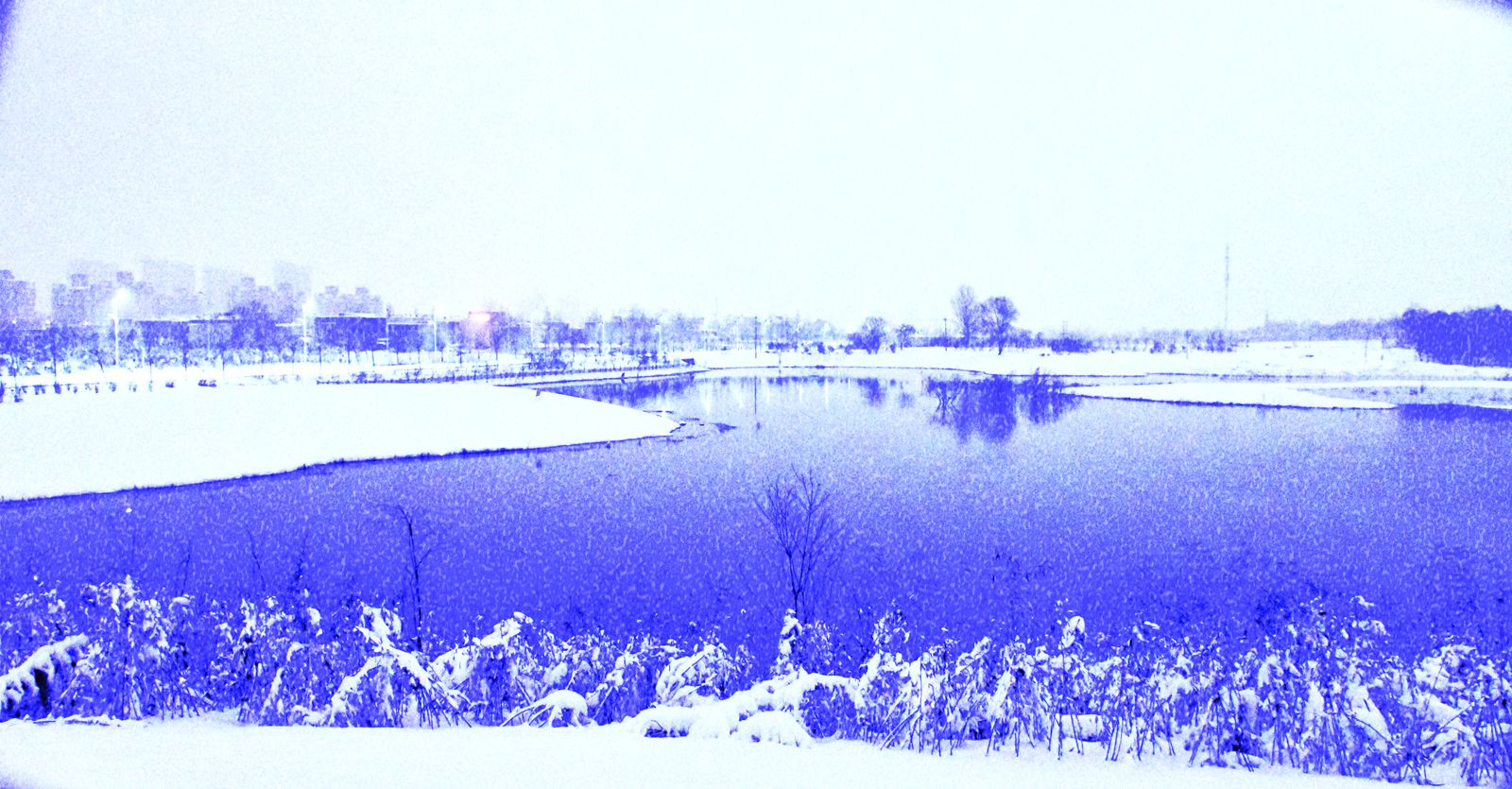 DSC_0009副本_副本.jpg DSC_0009副本_副本.jpg
