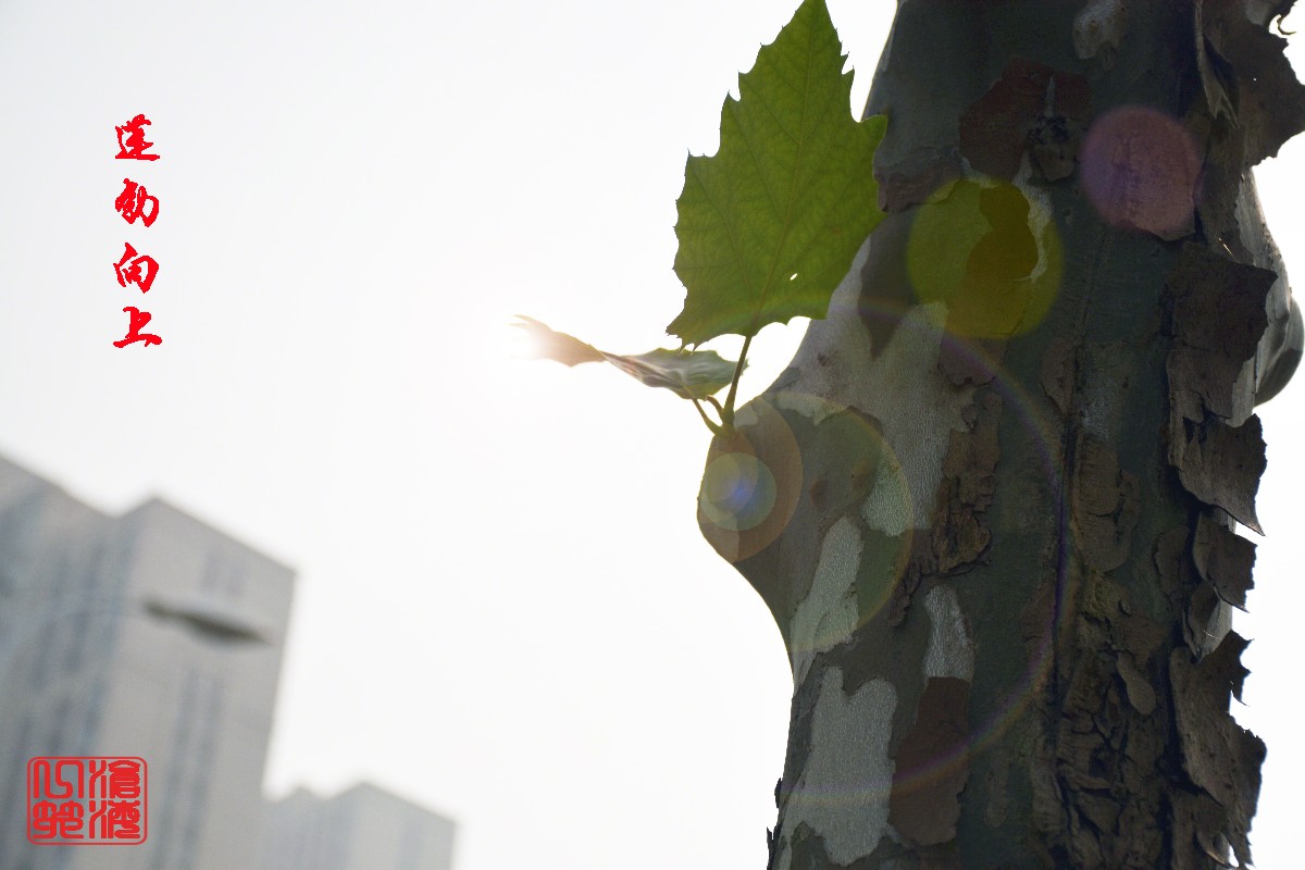 DSC_0212.JPG DSC_0212.JPG