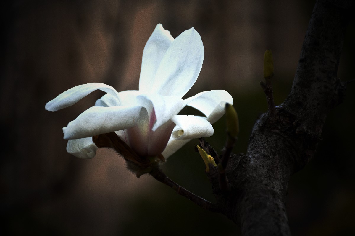 DSC_0072.JPG