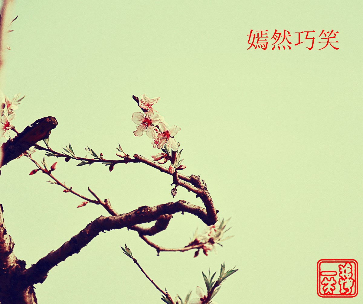 DSC_0212-恢復的.jpg DSC_0212-恢復的.jpg