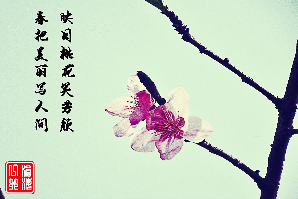 DSC_0203-恢復的.jpg DSC_0203-恢復的.jpg