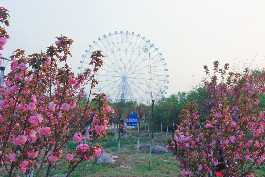 QQ圖片20180408122608.jpg