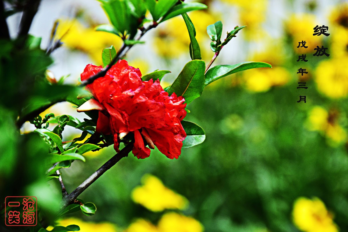 DSC_0399.JPG DSC_0399.JPG
