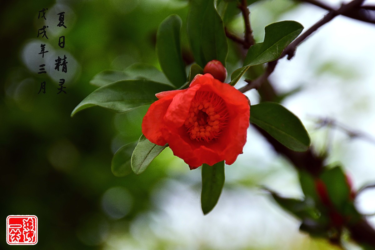 DSC_0272.JPG DSC_0272.JPG