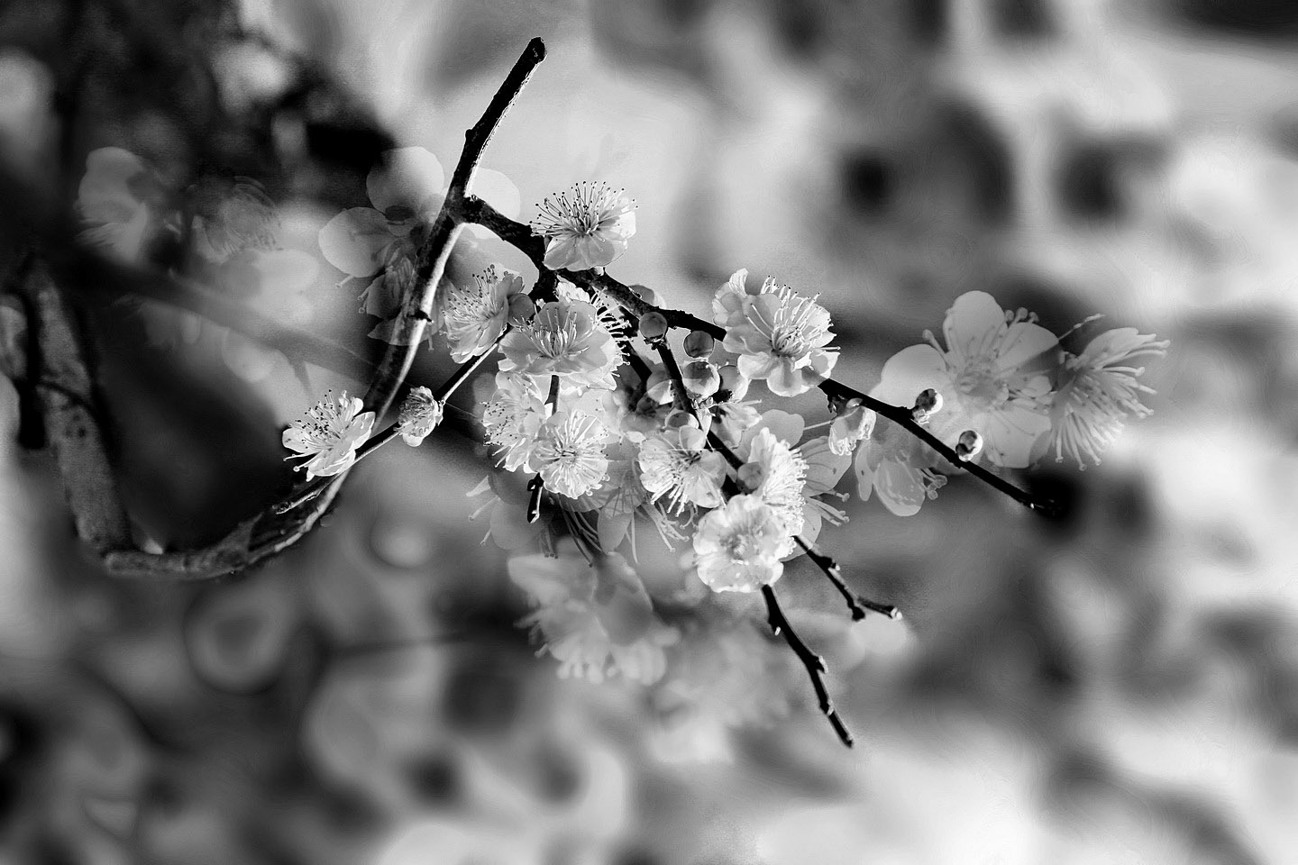 01IMG_4773-1_調(diào)整大小 - 副本.jpg
