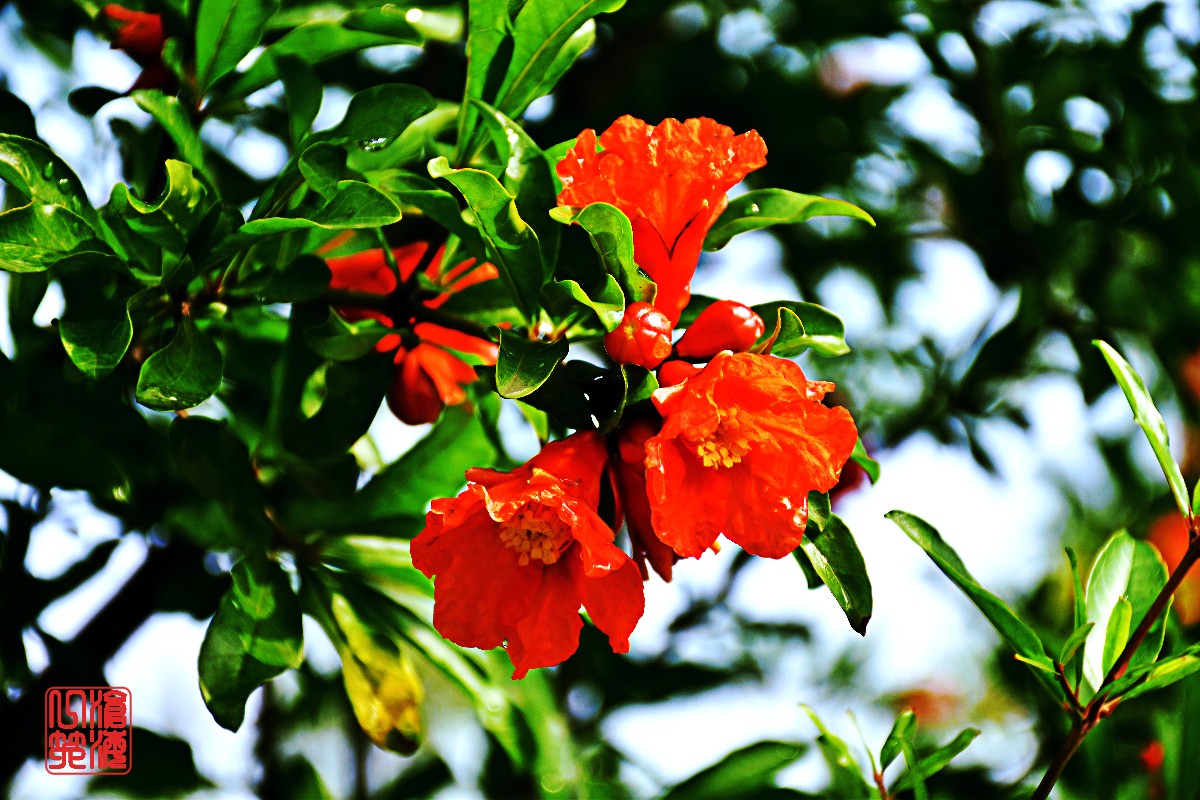 DSC_0003.JPG DSC_0003.JPG