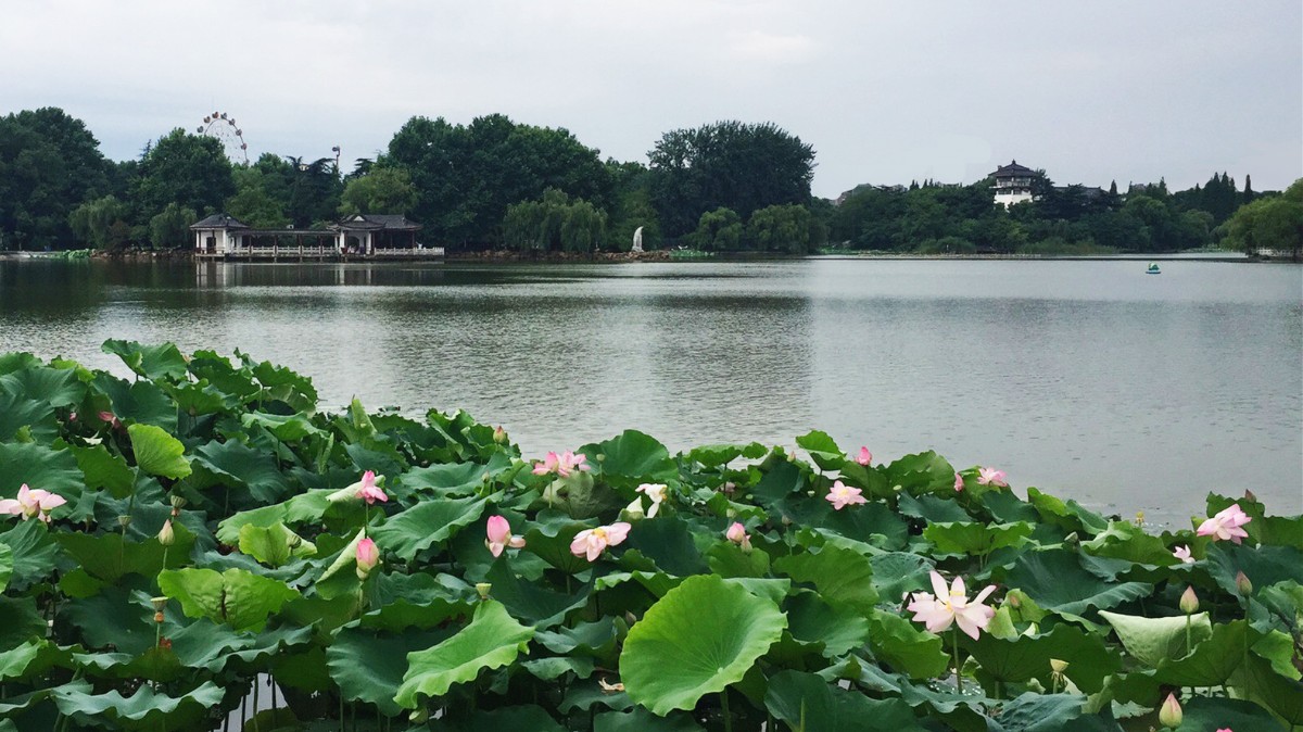 微信圖片_20180628122941.jpg