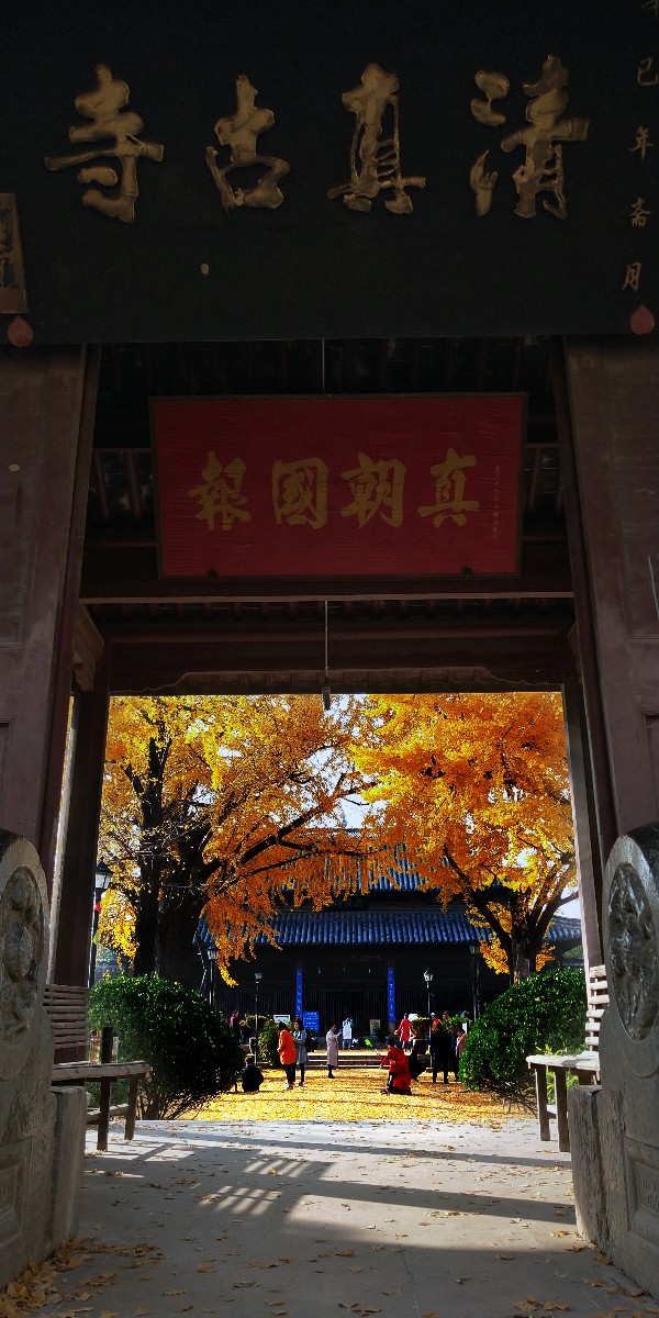 QQ圖片20181126221140.jpg